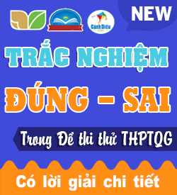 Trắc nghiệm Đúng sai Hóa học 10